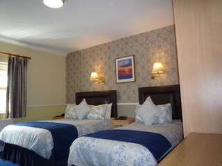 Отели типа «постель и завтрак» Avlon House Bed and Breakfast Карлоу Двухместный номер с 2 отдельными кроватями-5