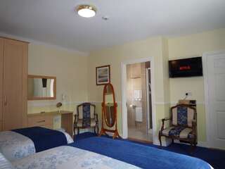 Отели типа «постель и завтрак» Avlon House Bed and Breakfast Карлоу Двухместный номер с 2 отдельными кроватями-6