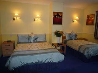 Отели типа «постель и завтрак» Avlon House Bed and Breakfast Карлоу Двухместный номер с 2 отдельными кроватями-9