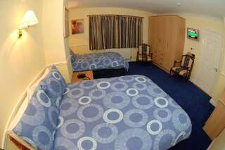 Отели типа «постель и завтрак» Avlon House Bed and Breakfast Карлоу Двухместный номер с 2 отдельными кроватями-10