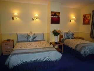 Отели типа «постель и завтрак» Avlon House Bed and Breakfast Карлоу Двухместный номер с 2 отдельными кроватями-18