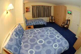 Отели типа «постель и завтрак» Avlon House Bed and Breakfast Карлоу Двухместный номер с 2 отдельными кроватями-19